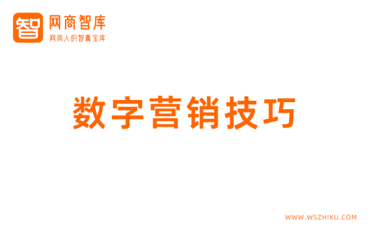 数字营销付费流量推广策略技巧